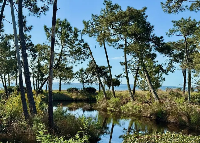 Mobilhome De Gamme Avec Vue Exceptionnelle Sur Le Bassin Arcachon - 6 Personnes Casa vacanze *